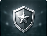SILVER division badge